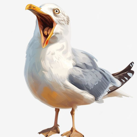 خم الحمام